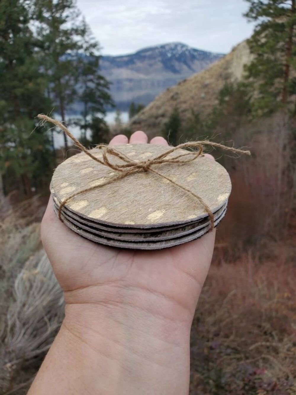 Set of 4 Cowhide Coasters